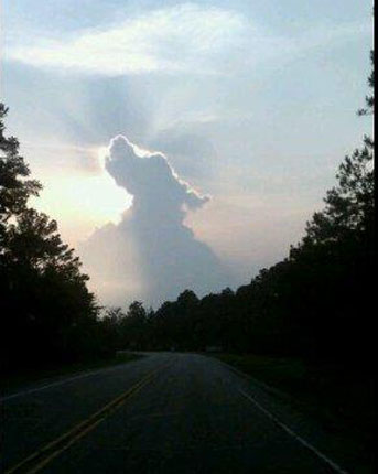 kutya, felhő