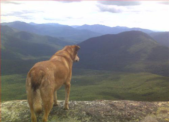 kutya, hegy