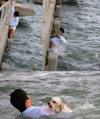 kutya ember, víz