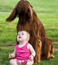 Kutya és baba