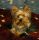 Snoopy, Yorkshire terrier