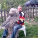 Kutya Komondor