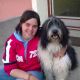 Kutya Bearded collie
