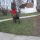 Yeny, Cane corso