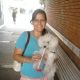 Kutya Bichon frise