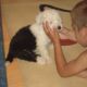 Kutya Bobtail