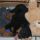 Hadnagy, Rottweiler