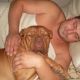 Kutya Bordeaux-i dog