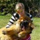 Kutya Leonberger