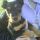 Picike, Terrier