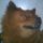 pici pocok, Chow-chow