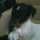 Lili, Foxterrier