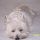 Fifike, Westie