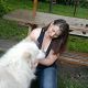 Kutya Samoyede