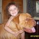 Kutya Bordeaux-i dog