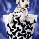 Kutya Dalmata