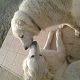Kutya Kuvasz