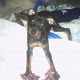 Kutya Pinscher