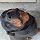 Lily, Rottweiler