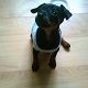 Kutya Pinscher