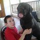 Kutya Cane corso