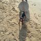Kutya Pinscher