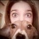Kutya Jack Russel terrier