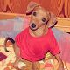 Kutya Pinscher