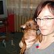 Kutya Pinscher