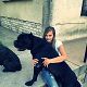 Kutya Cane corso