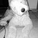 Kutya Bobtail