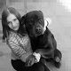 Kutya Rottweiler