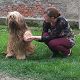 Kutya Briard