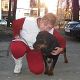 Kutya Rottweiler