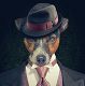 Kutya Jack Russel terrier