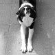 Kutya Border collie
