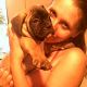 Kutya Francia bulldog