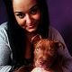 Kutya Pitbull terrier