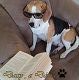Kutya Beagle