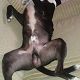 Kutya Amerikai staffordshire terrier