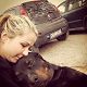 Kutya Rottweiler