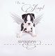 Kutya Boston terrier